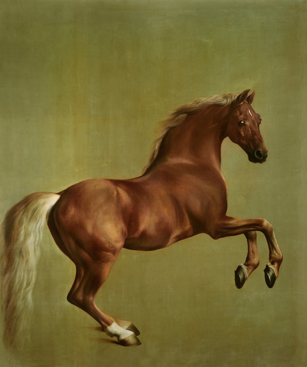 Whistlejacket, 1762 af George Stubbs