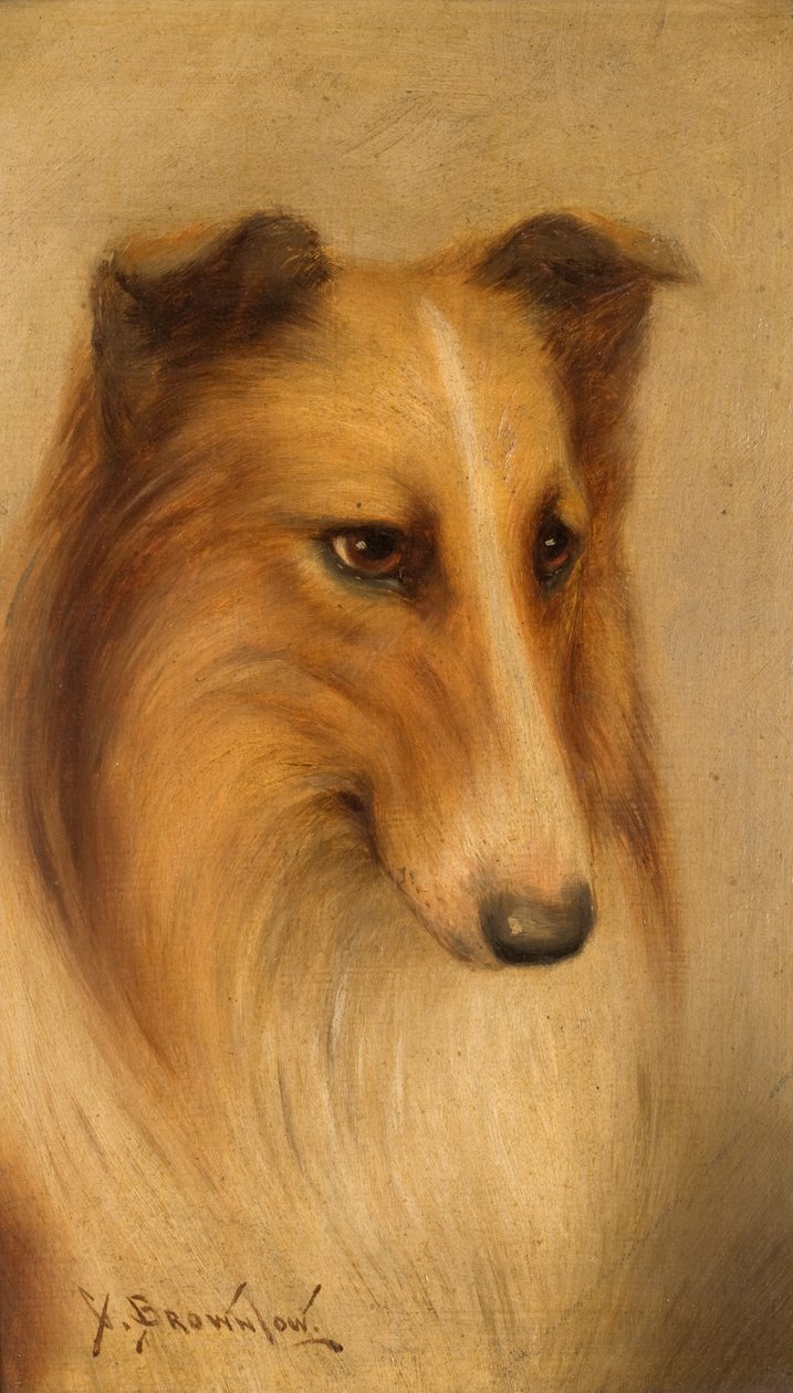 Collie olie ombord af George Washington Brownlow