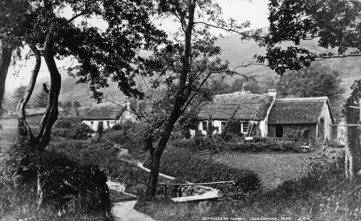 Sommerhuse ved Tarbet, Loch Lomond, ca. 1860-80 af George Washington Wilson