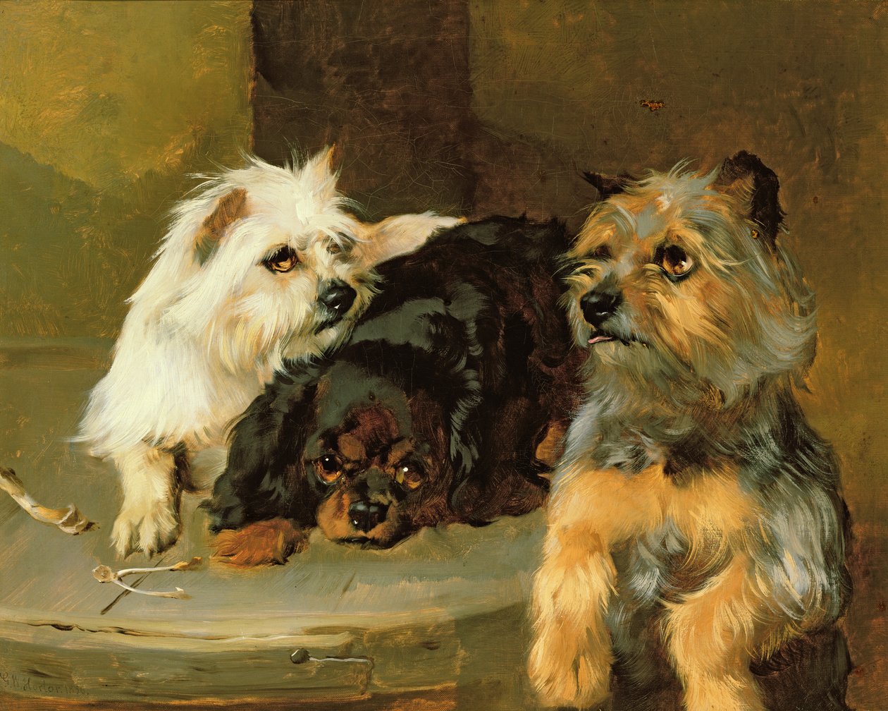 Giv en stakkels hund en knogle af George Wiliam Horlor
