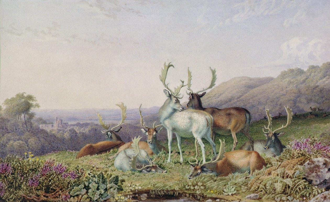 Hjorte i et Landskab af George the Younger Barret