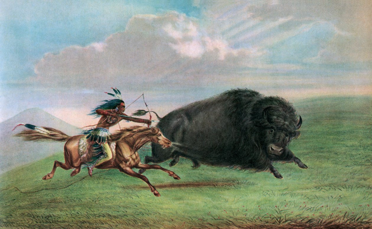 Tryk efter Buffalo Hunt af George Catlin, ca.1920 (serigrafi) af George (after) Catlin