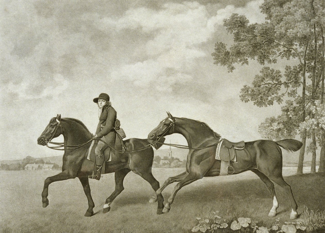 Two Hacks, graveret af George Townley Stubbs (bap.1748-c.1815) (litografi) af George (after) Stubbs