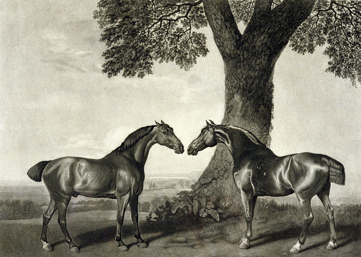 To jægere, graveret af G.T. Stubbs (døbt 1748-c.1815) (litho) (se også 266802) af George (after) Stubbs