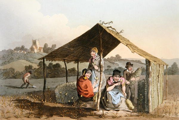 Teazle Field, fra `Costume of Yorkshire