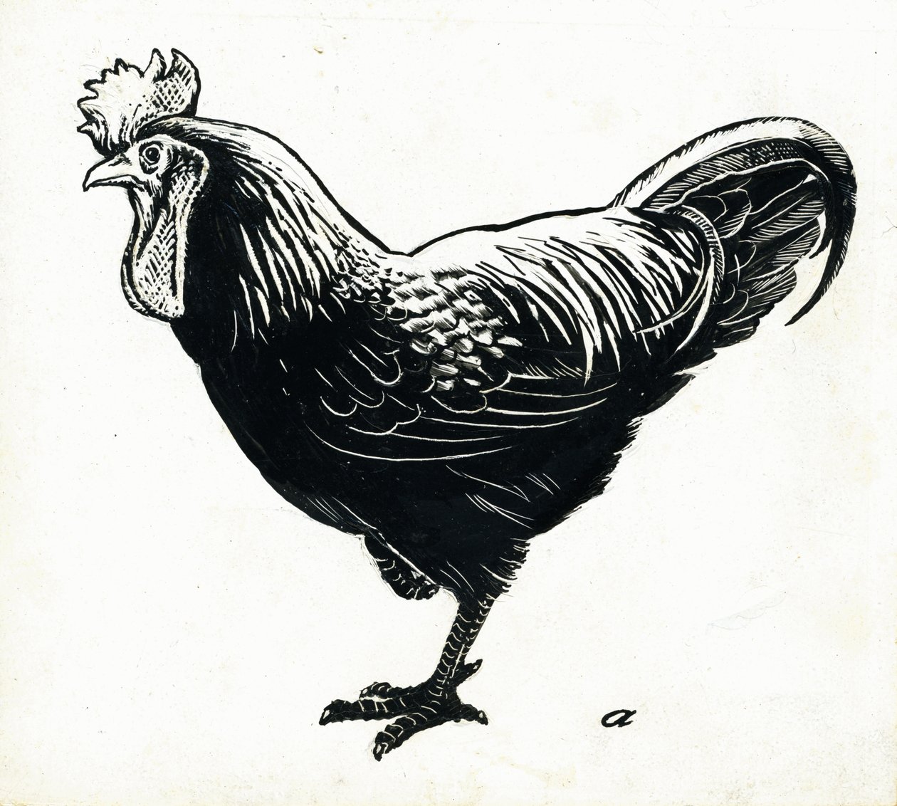 The Hen, 1950