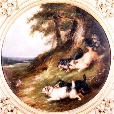 Terrier kanin af George Armfield