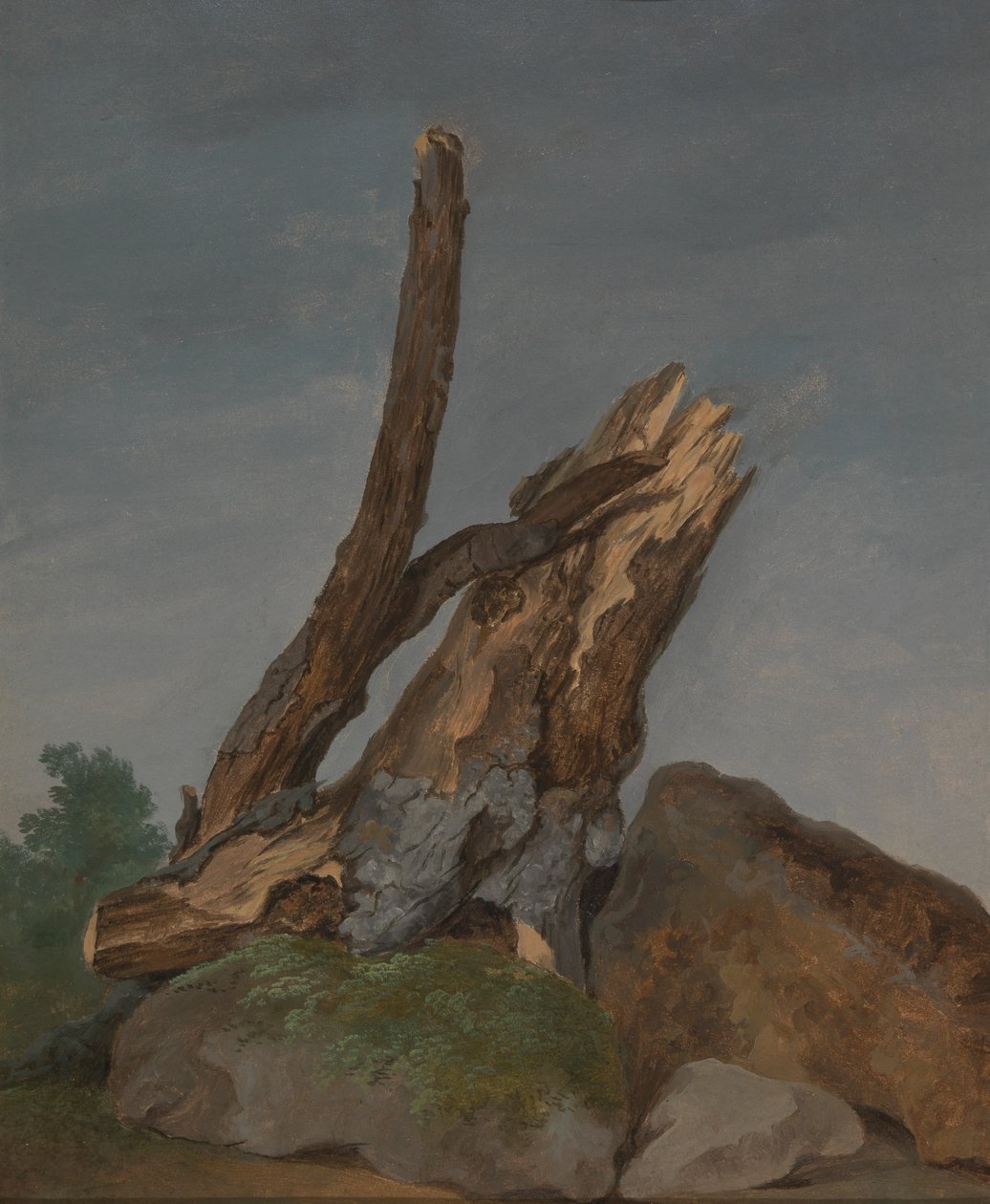 Undersøgelse af klipper og grene af George Augustus Wallis