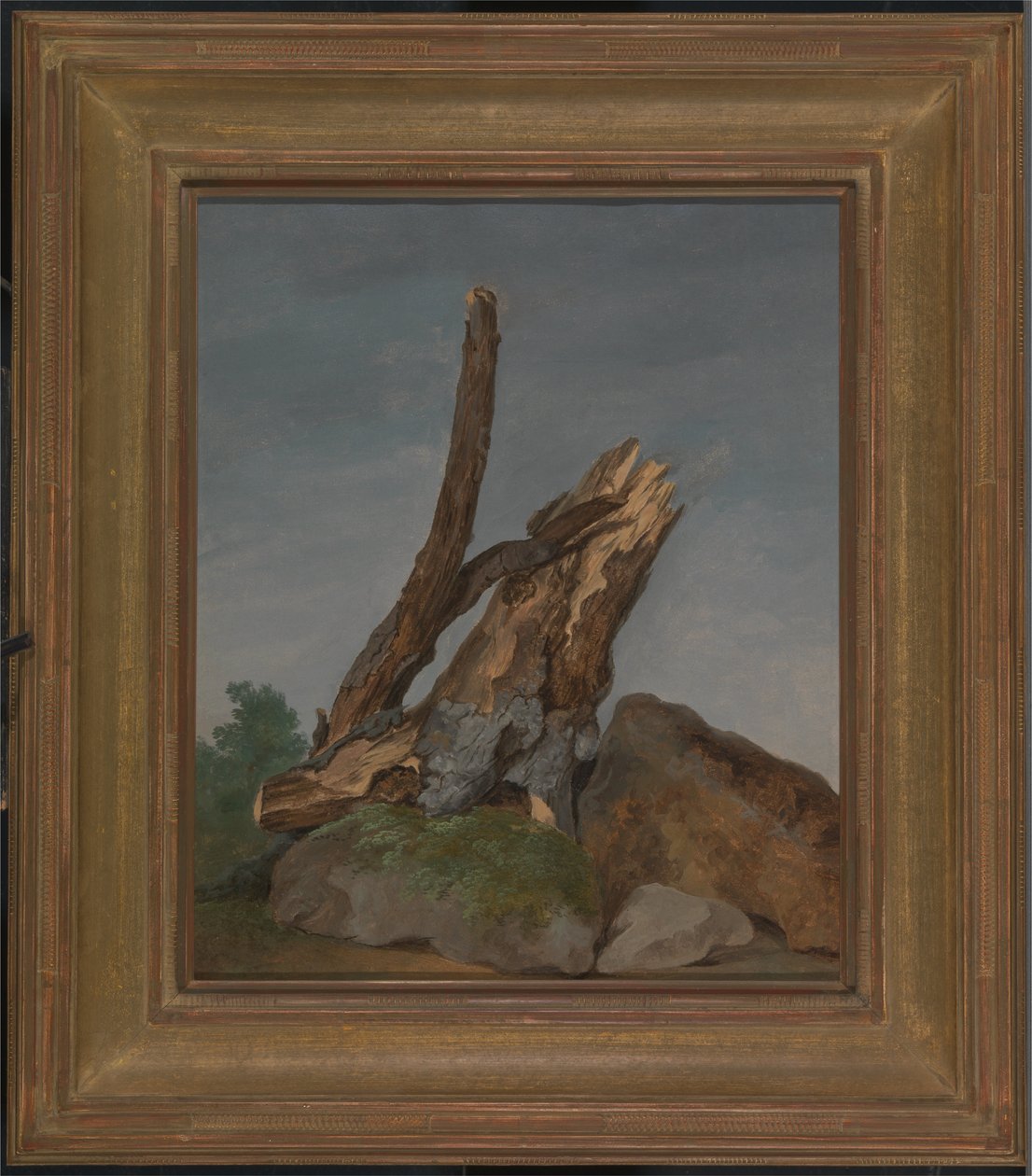 Undersøgelse af klipper og grene af George Augustus Wallis