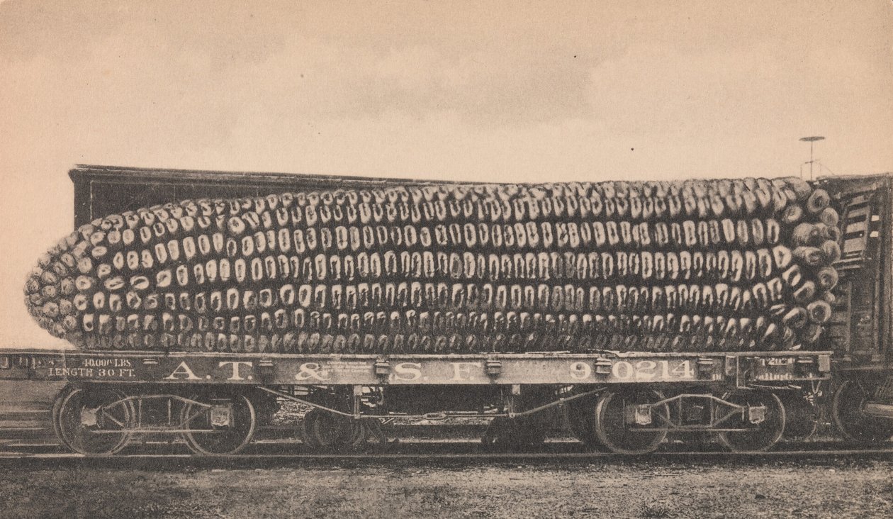En billadning af Texas Corn, ca. 1910. af George B. Cornish
