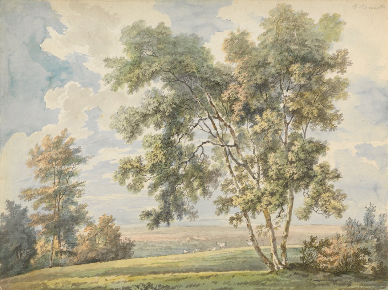 Landskab med træer og får (parklandskab med får) af George Barret