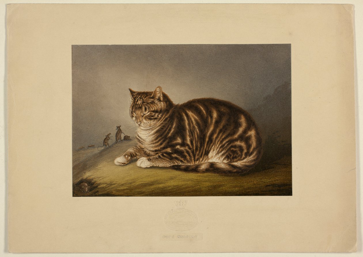 Kat, der tager en lur af George Baxter
