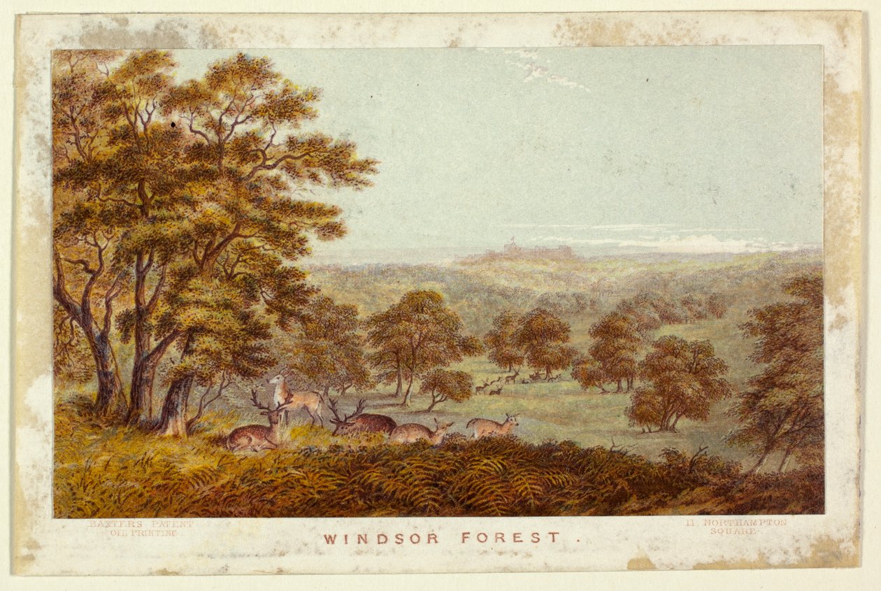 Windsor Forest - pocketbogsudgave af George Baxter
