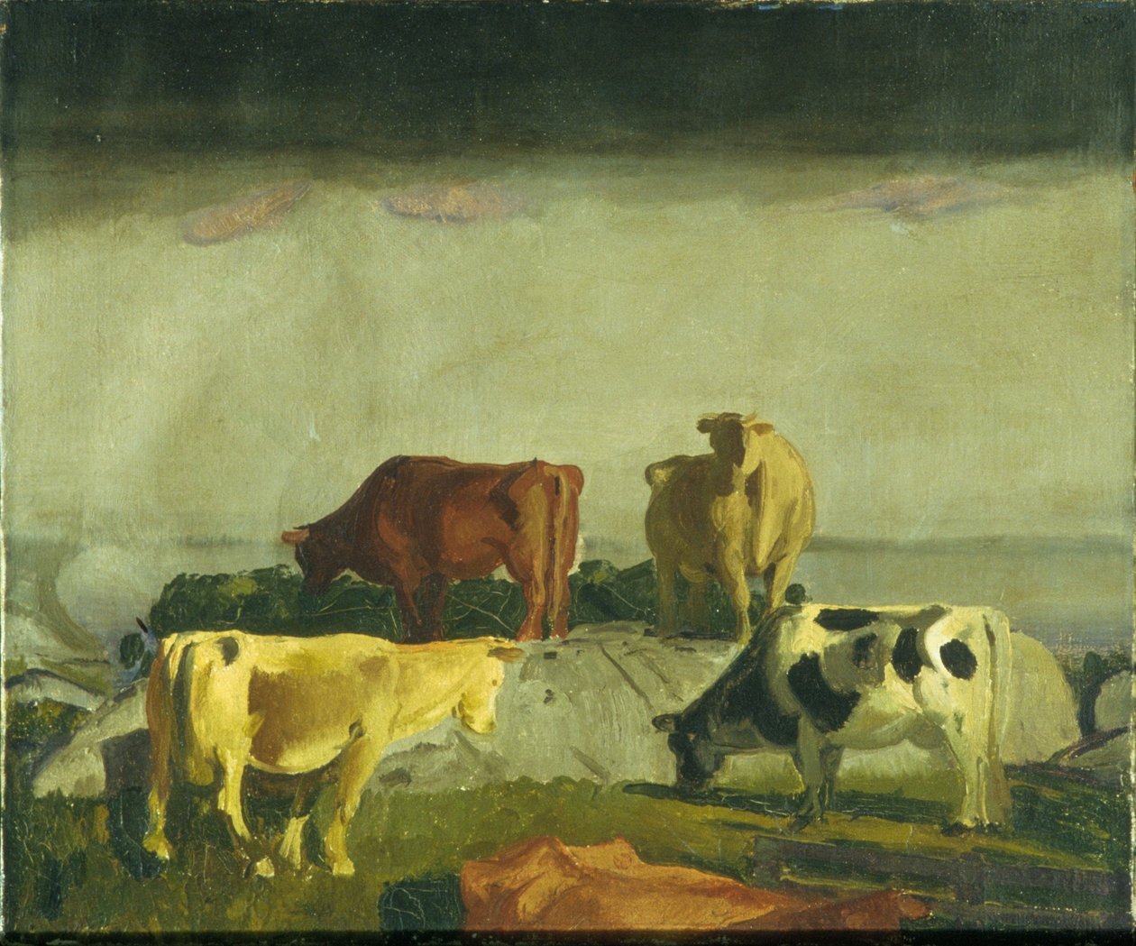 Den røde vinstok, Matinicus Island, Maine af George Bellows