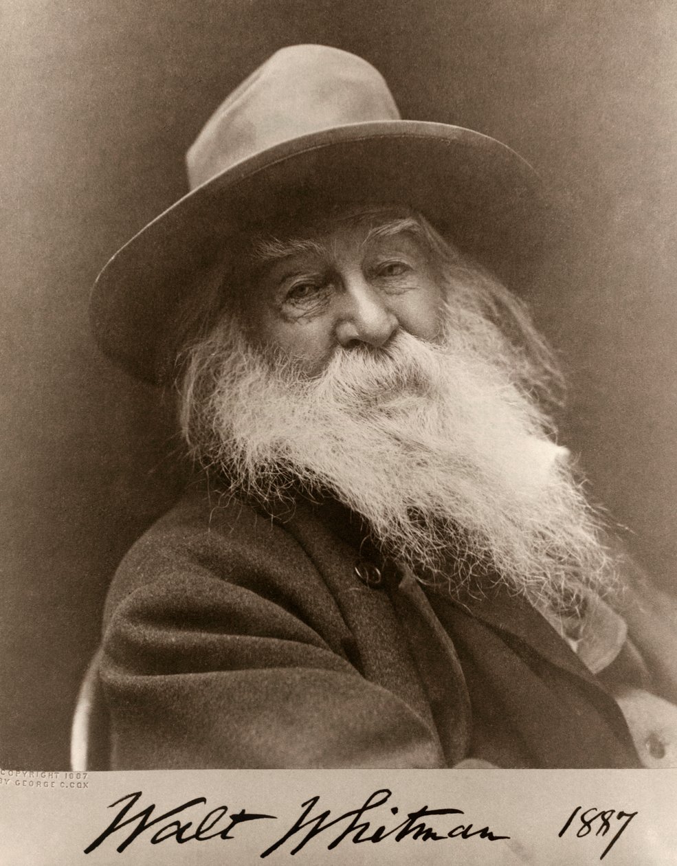 Portræt af Walt Whitman i 1887 af George C. Cox