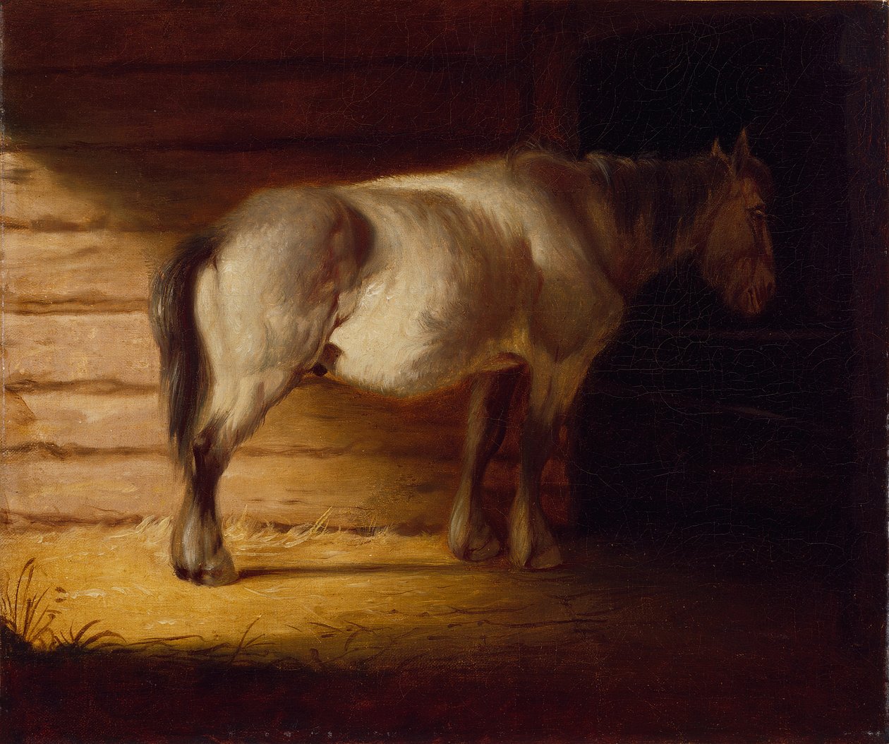 Old Field Horse, af 1856 (olie på lærred) af George Caleb Bingham