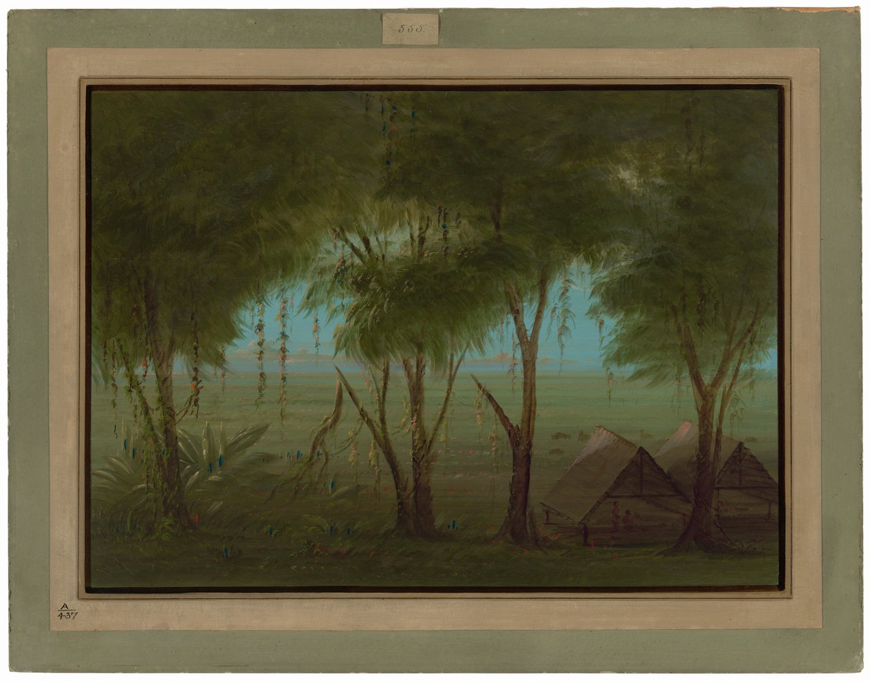 En Connibo-landsby af George Catlin