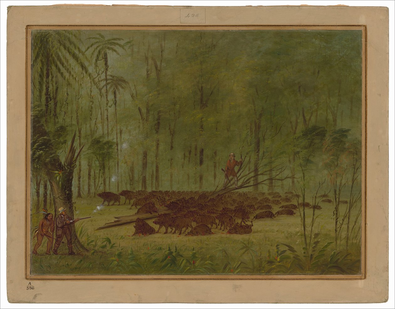 En kamp med peccaries - Caribbe af George Catlin