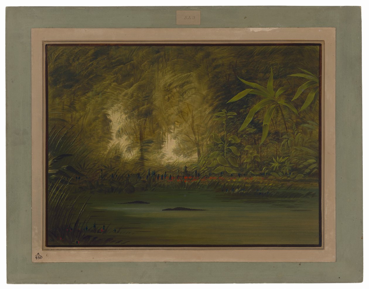 En lagune ved den øvre Amazonflod af George Catlin