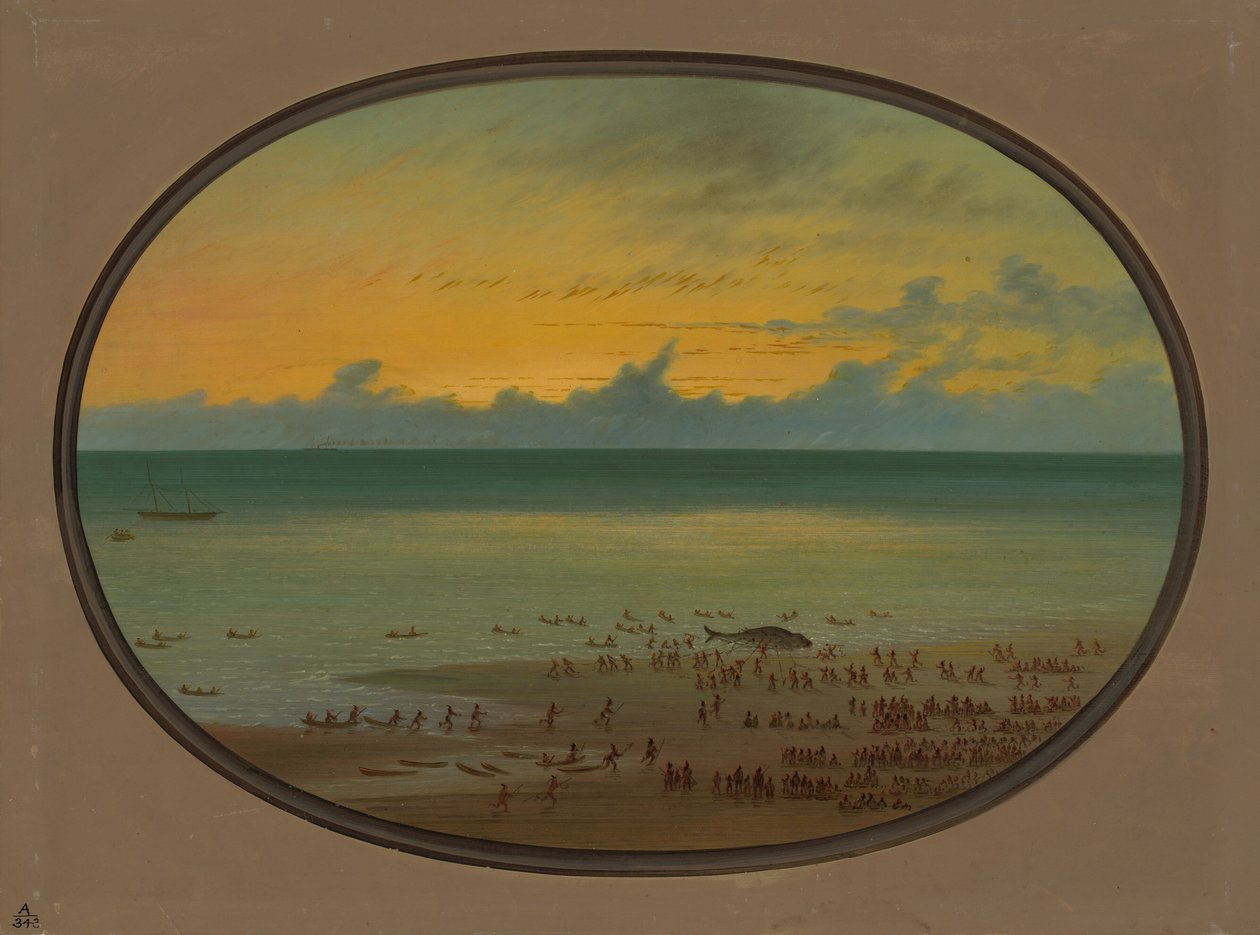 En hval i land - Klahoquat, 18551869. af George Catlin