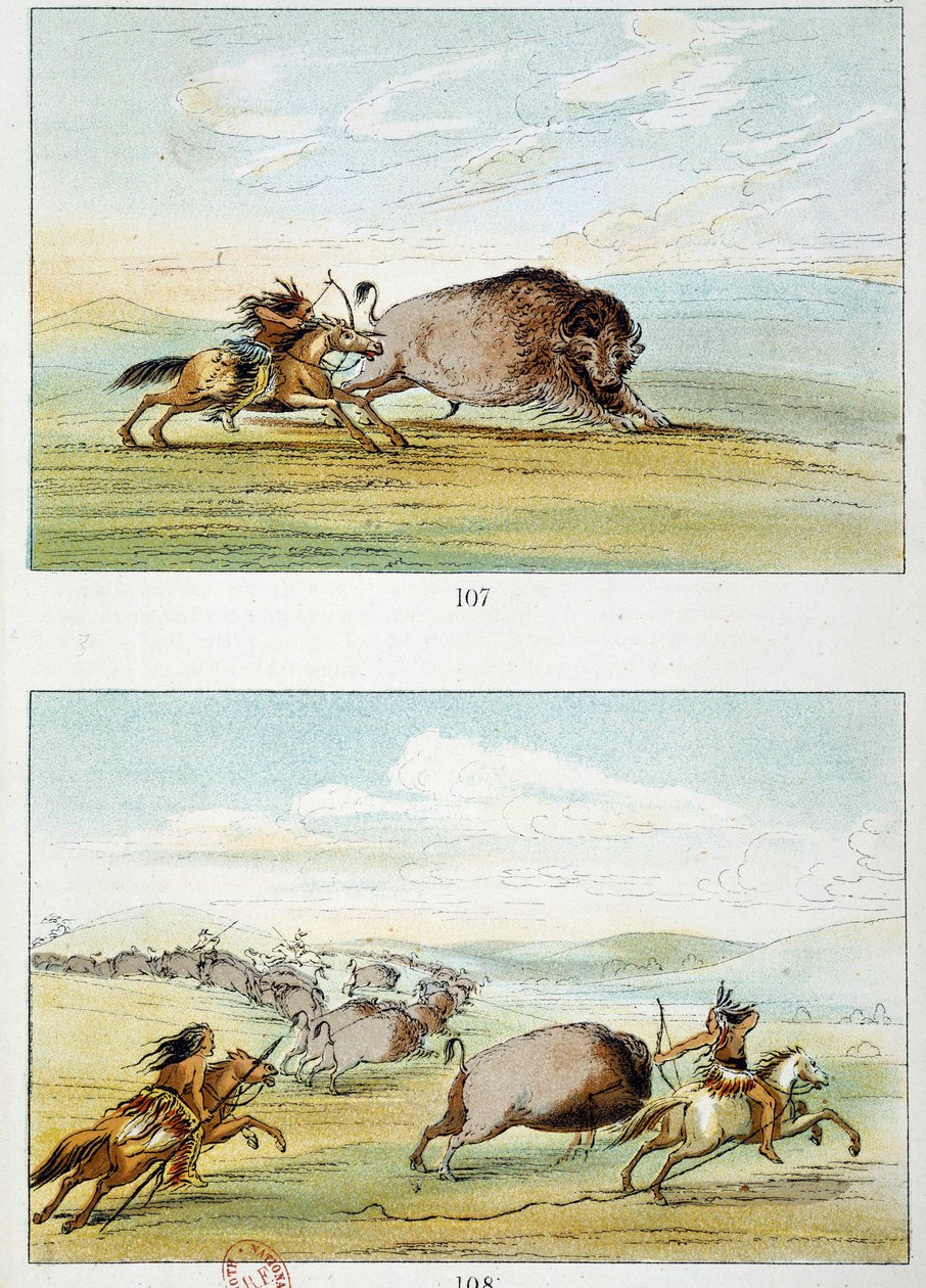Amerikanske indianere: bisonjagt. Illustration af George Catlin (1794-1872) af George Catlin