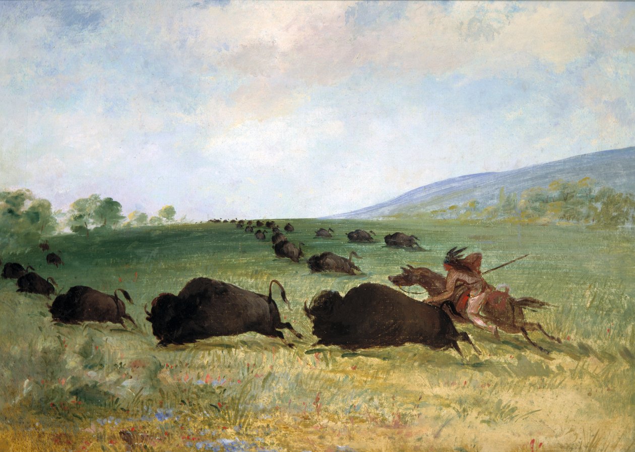 En Osage-indianer stikker en bøffel af George Catlin