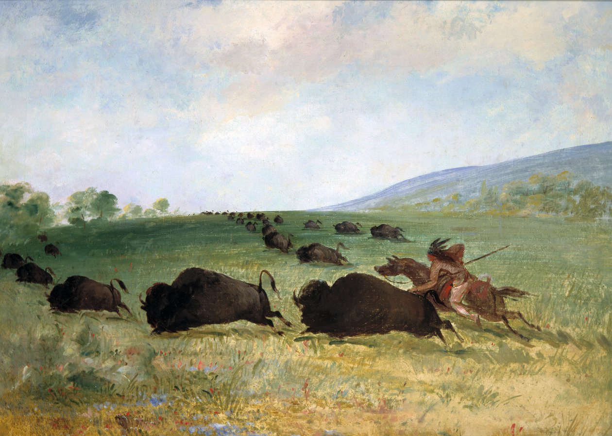 En Osage Indian Lancing A Buffalo, 1846-1848. af George Catlin