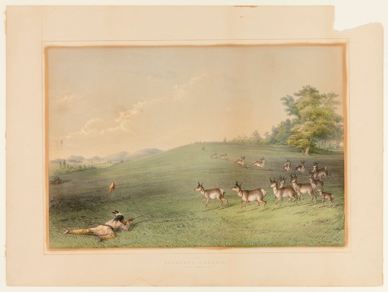 Antilopeskydning - nr. 20 af George Catlin