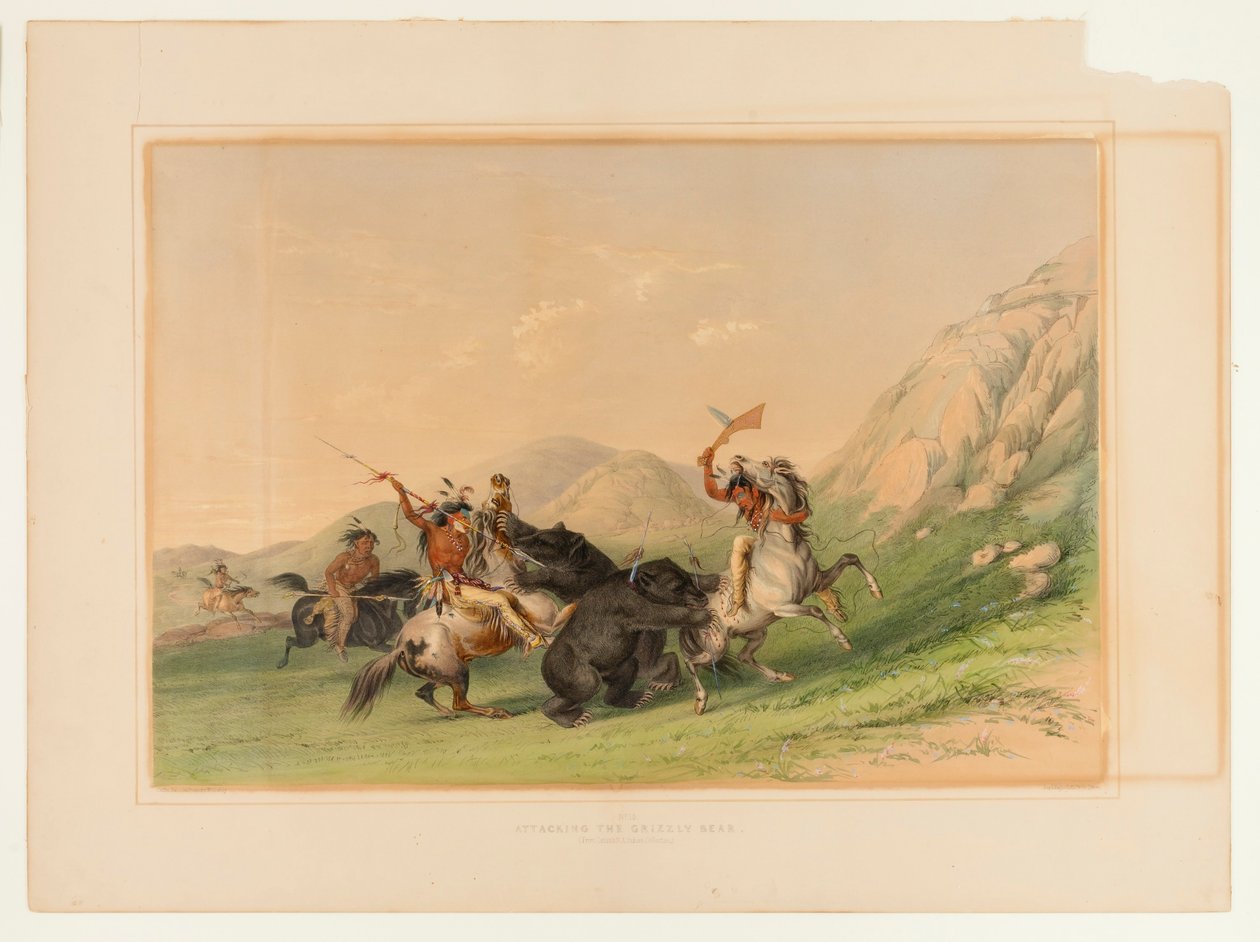 Angreb på grizzlybjørnen - nr. 19 af George Catlin