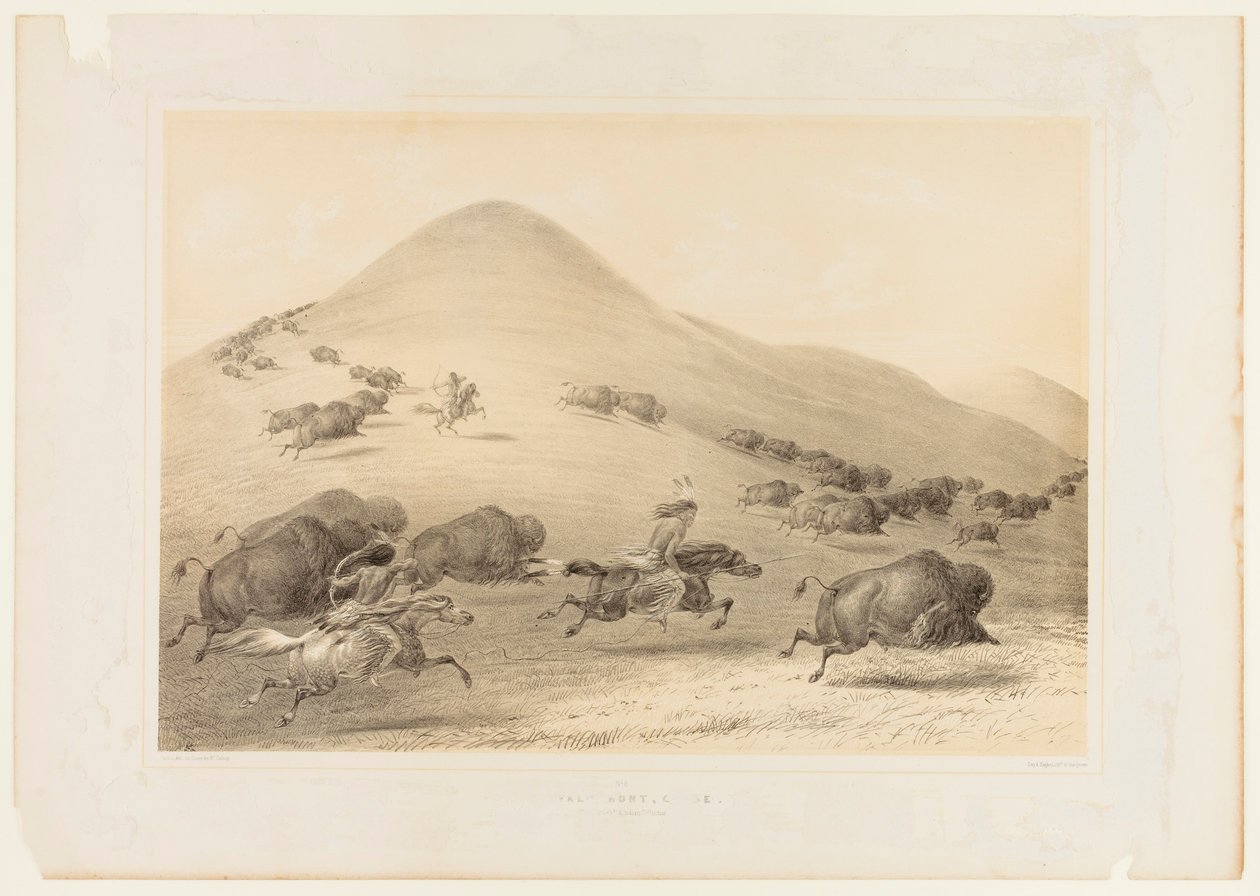 Bøffeljagt, jagt - nr. 6 af George Catlin