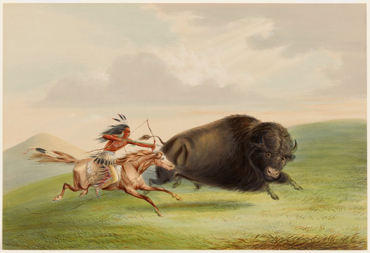 Bøffeljagt, forfølgelse af George Catlin