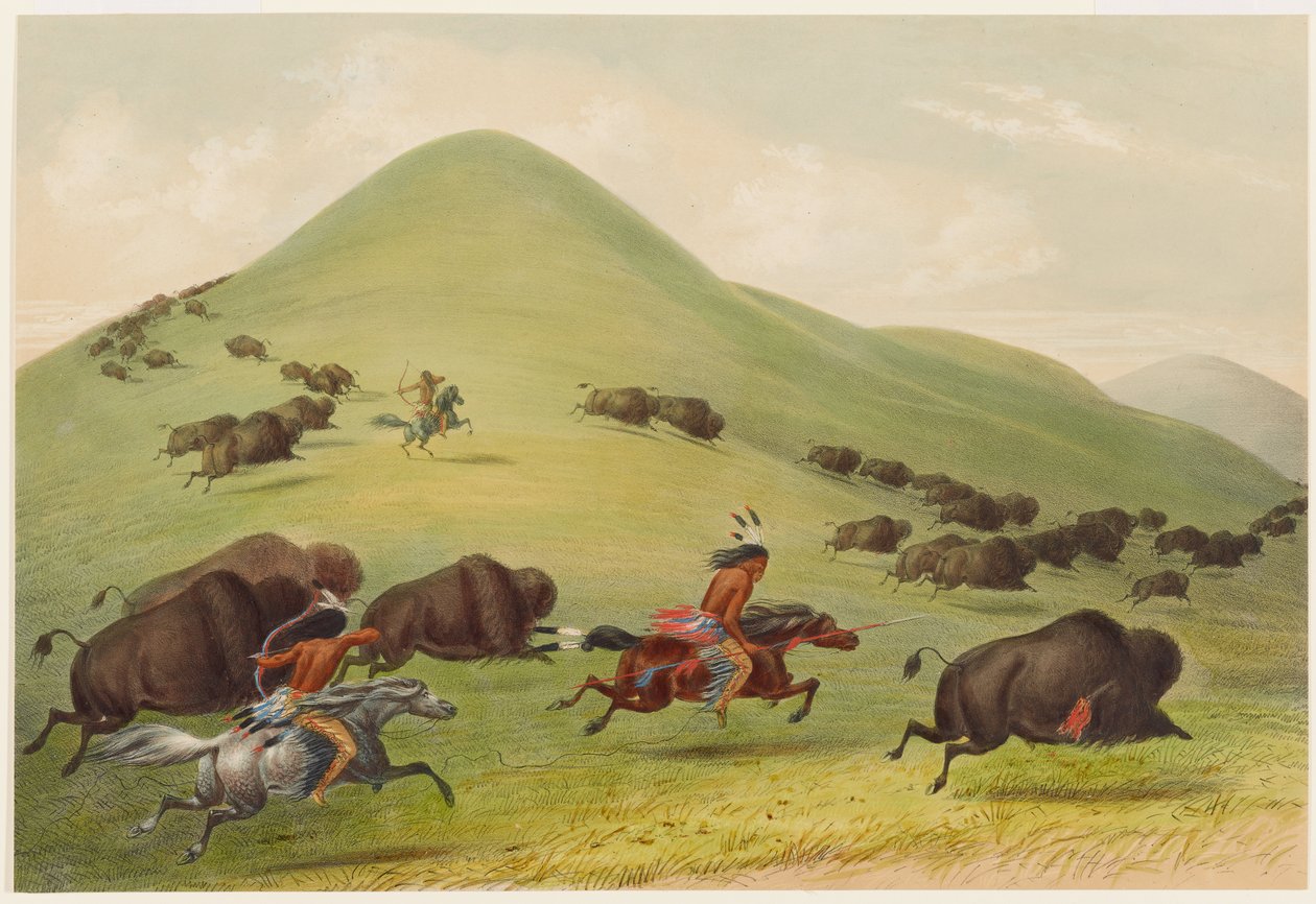 Bøffeljagt: Forfølgelse af George Catlin