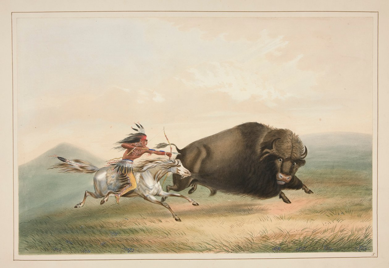Buffalo Hunt, Chase, pl. 5 fra North American Indian Portfolio af George Catlin
