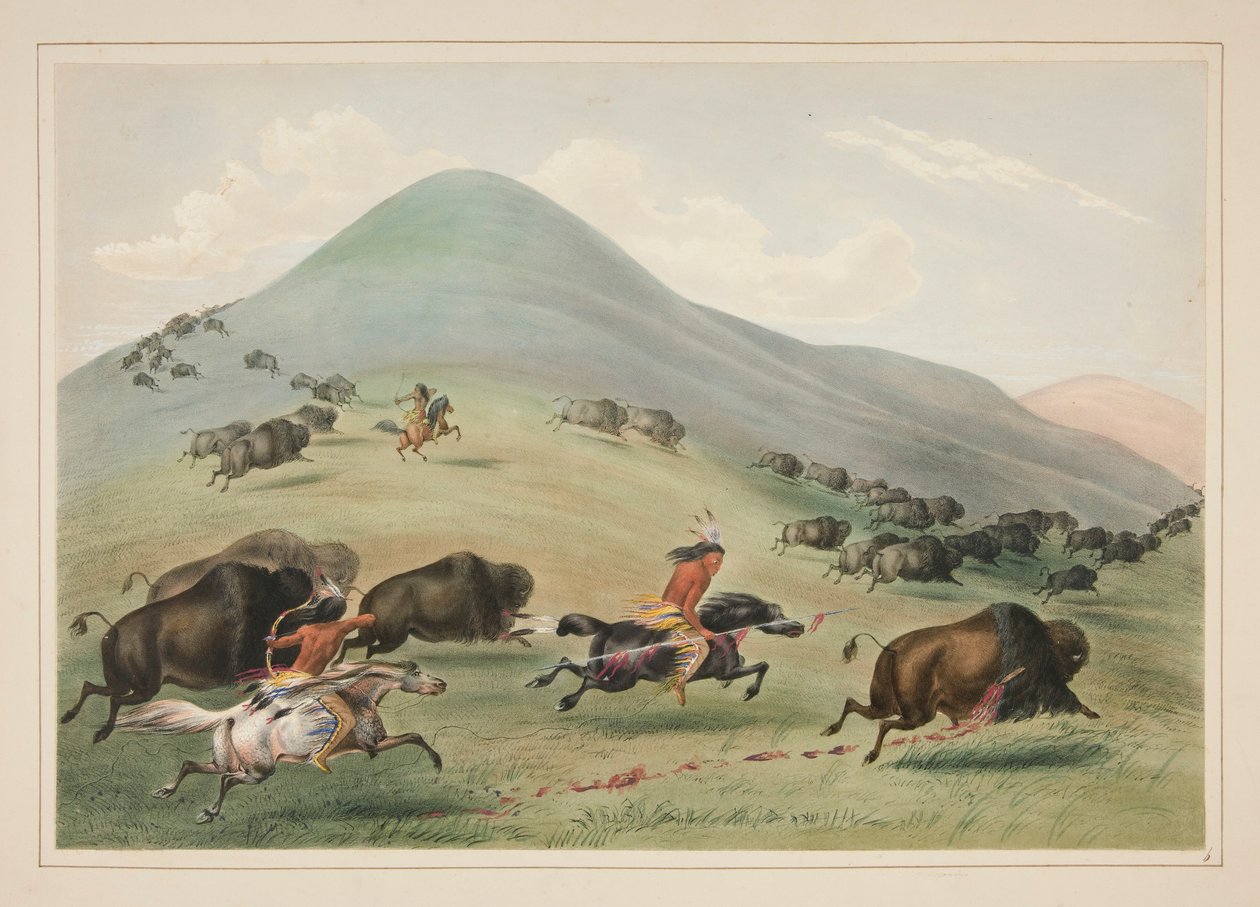 Buffalo Hunt, Chase, pl. 6 fra North American Indian Portfolio af George Catlin