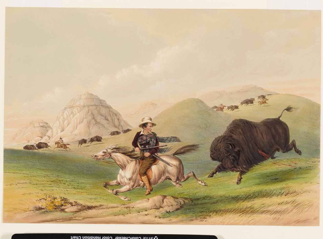 Bisonjagt, drevet tilbage af George Catlin