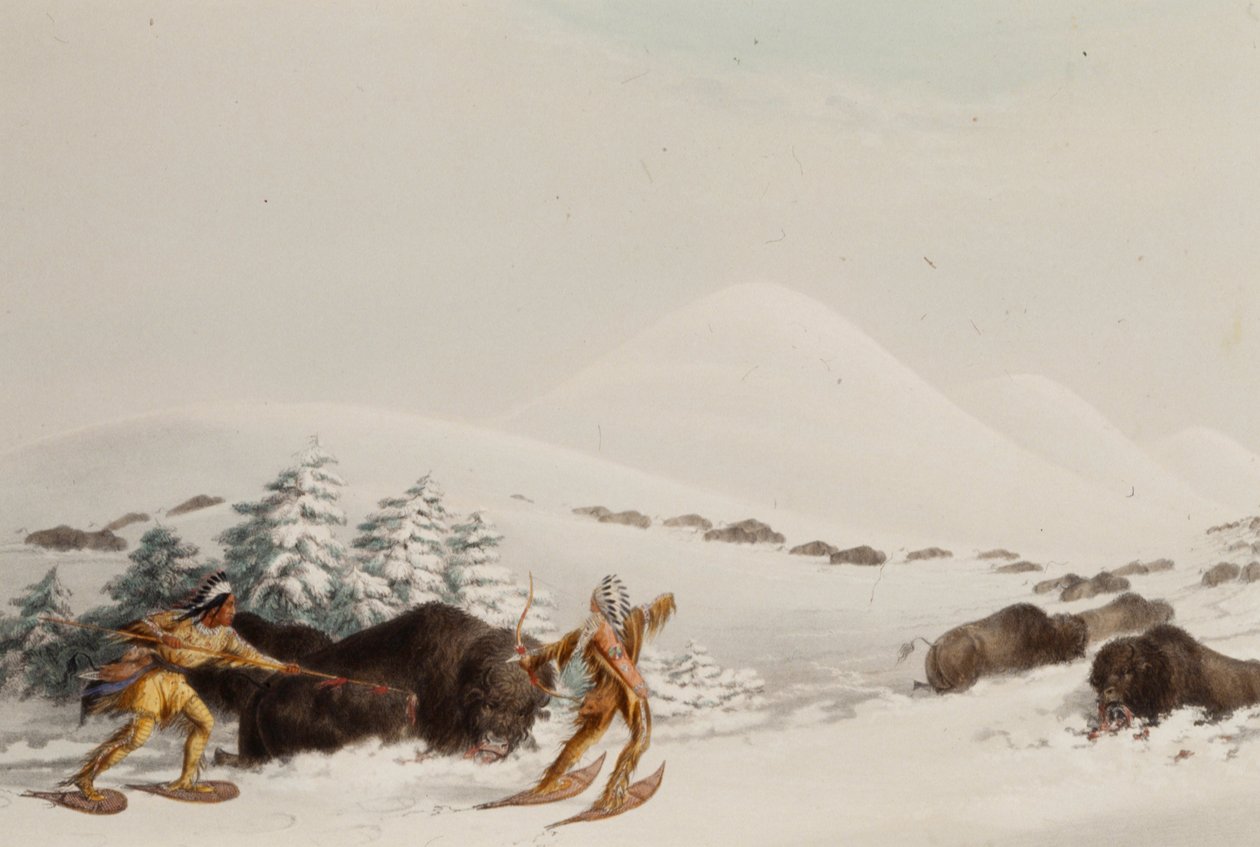 Bøffeljagt på snesko af George Catlin