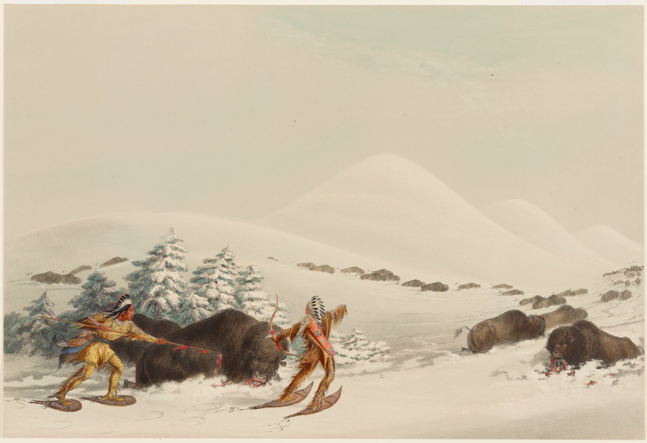 Bisonjagt på snesko af George Catlin