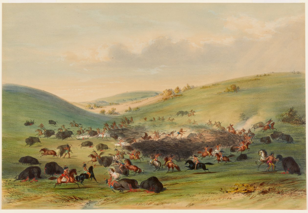 Bøffeljagt, omringning af George Catlin