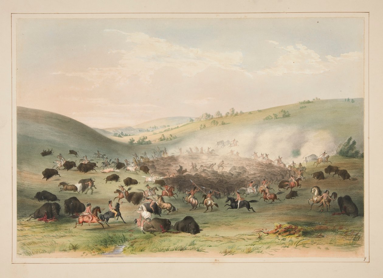 Bøffeljagt, Surround, pl. 9 fra North American Indian Portfolio af George Catlin