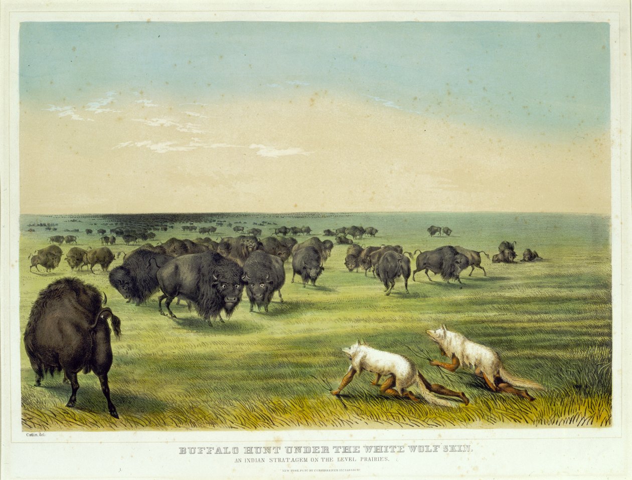 Bøffeljagt under den hvide ulveskind af George Catlin