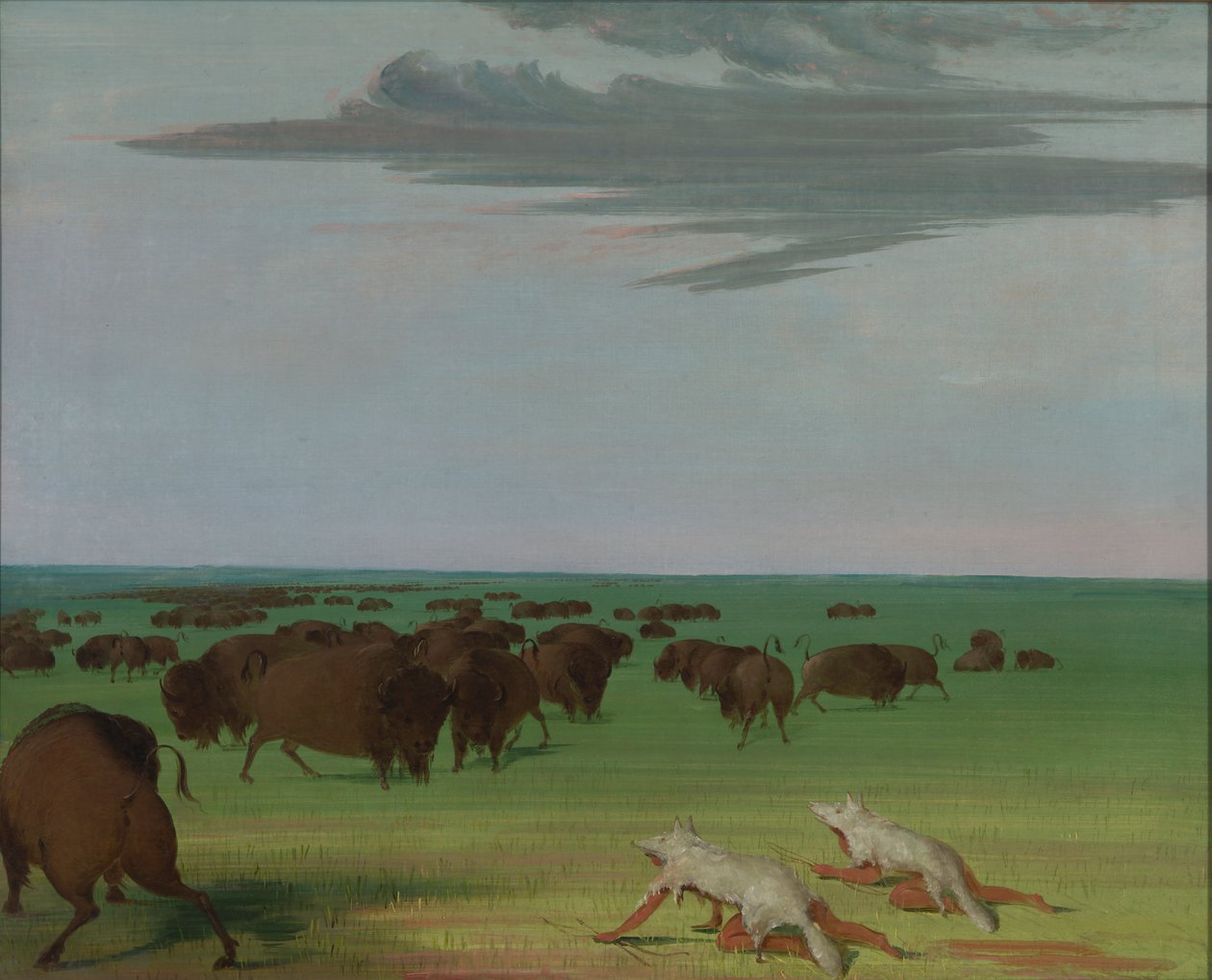 Bøffeljagt under ulveskindsmasken, 1832-1833. af George Catlin