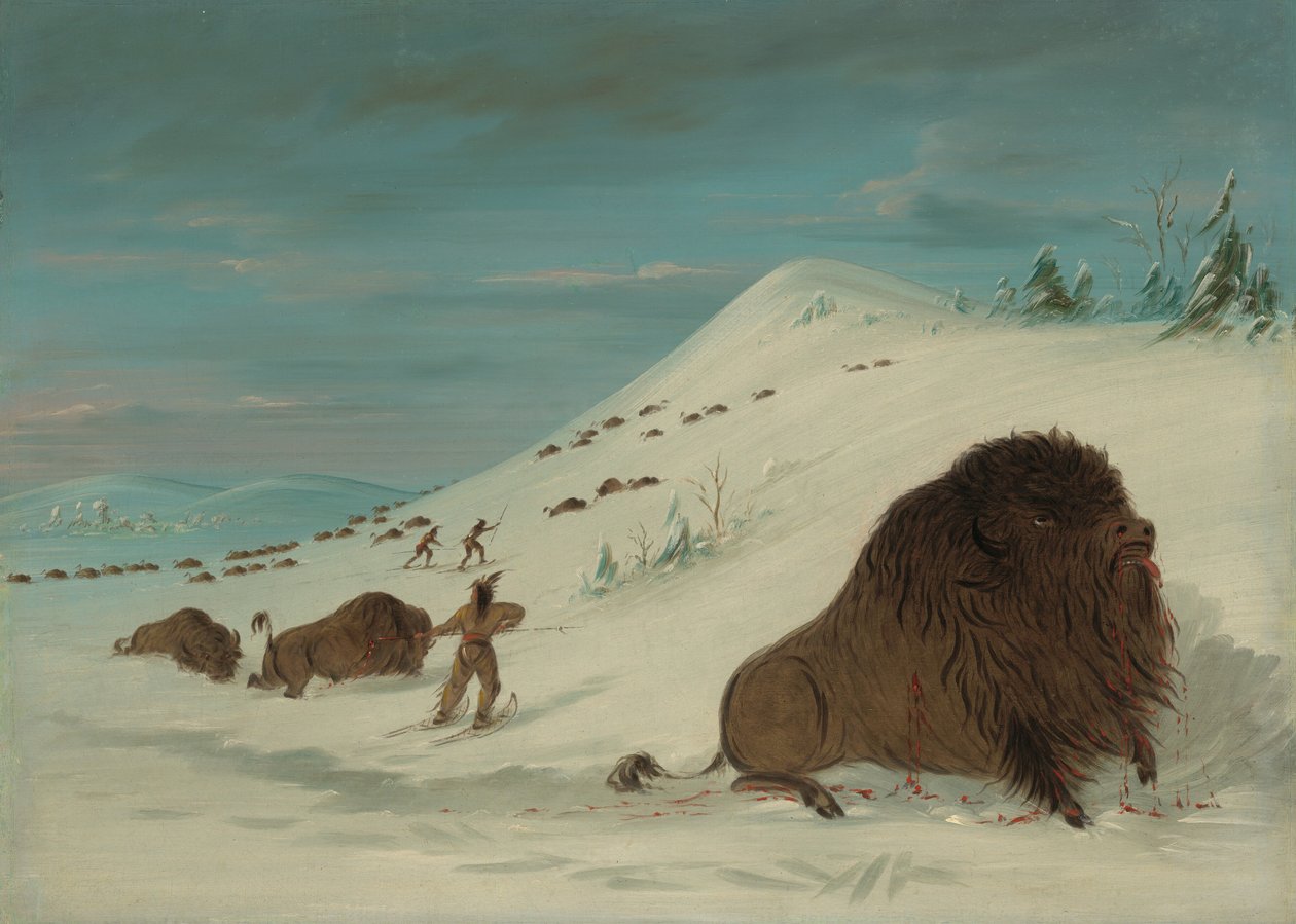 Buffalo Lancing in the Snow Drifts - Sioux, 18611869. af George Catlin