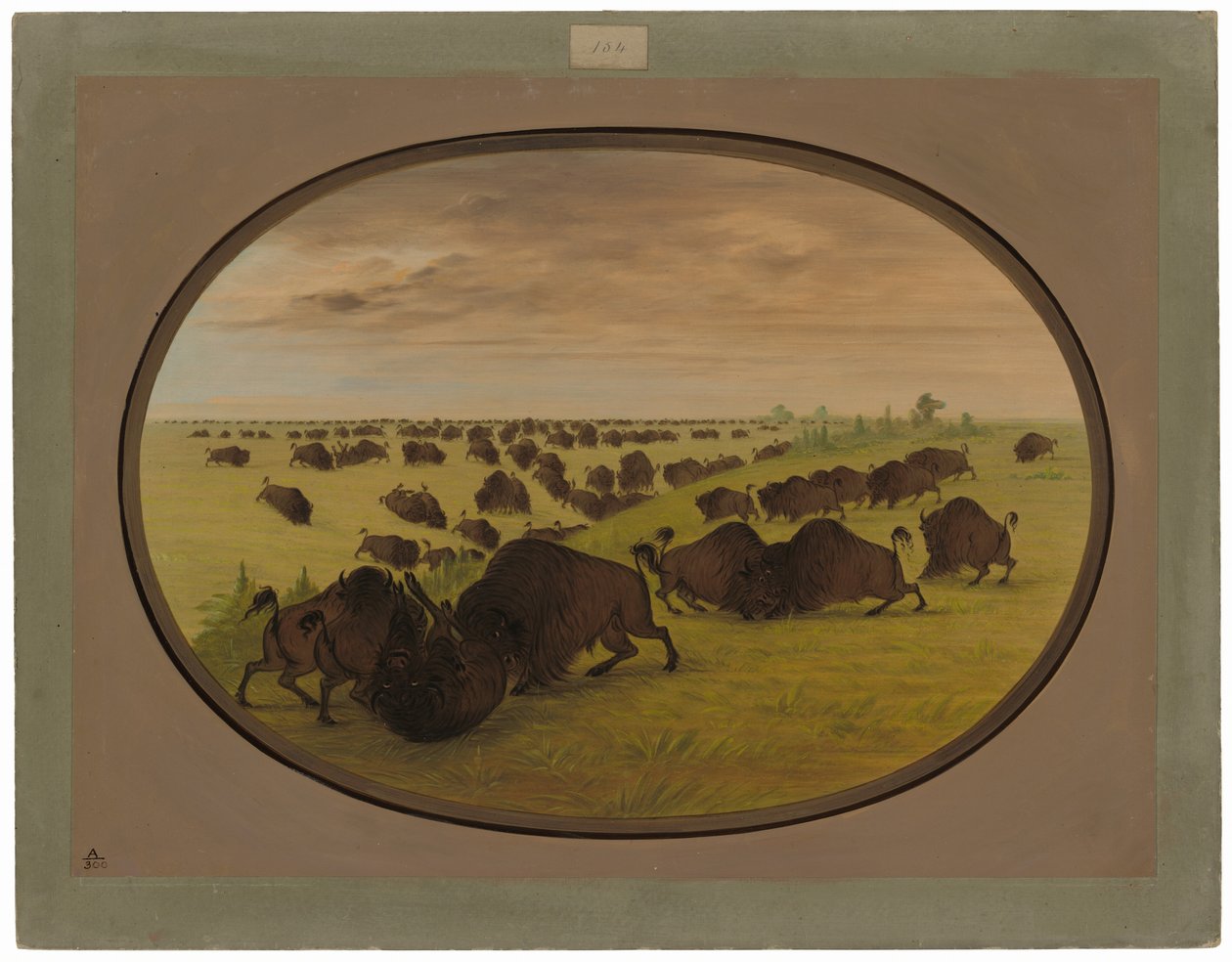Tyre kæmper af George Catlin