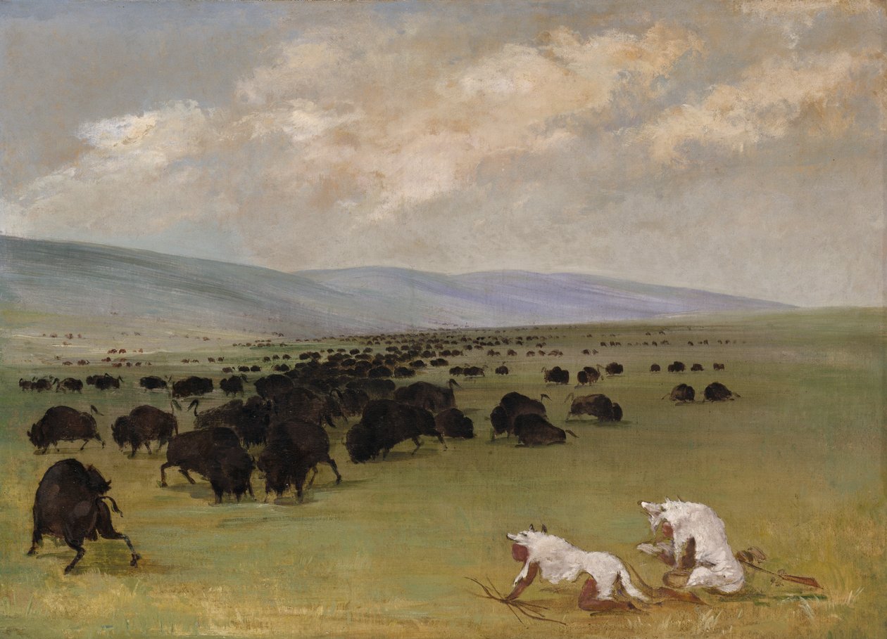 Catlin og hans indiske guide nærmer sig bøffel under hvide ulveskind, 1846-1848. af George Catlin