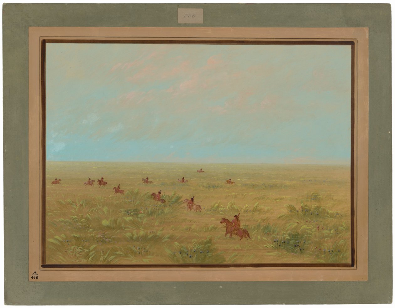Kørsel af Pampas for vilde kvæg - Connibo af George Catlin