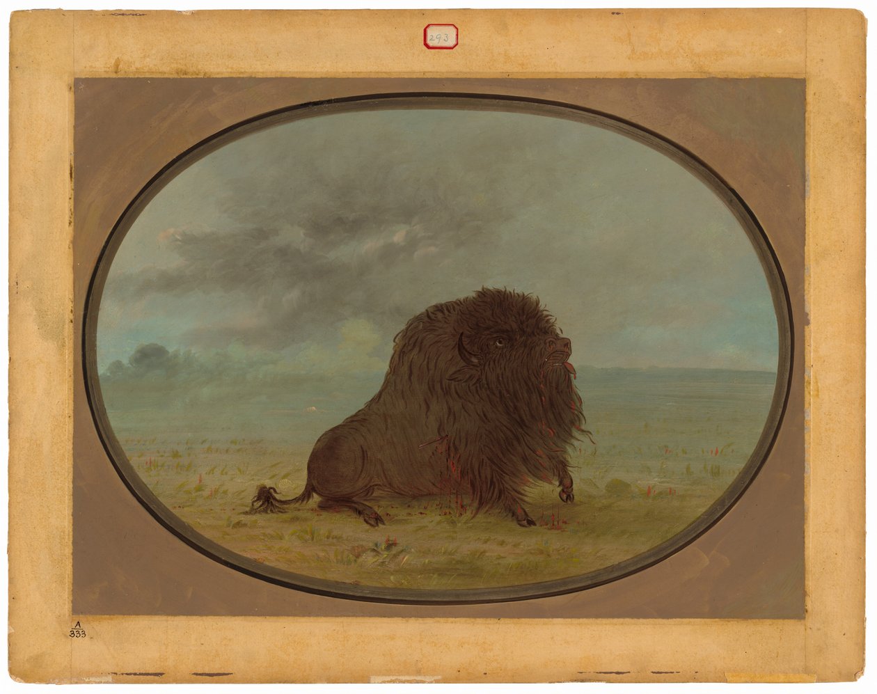Døende Buffalo Bull af George Catlin