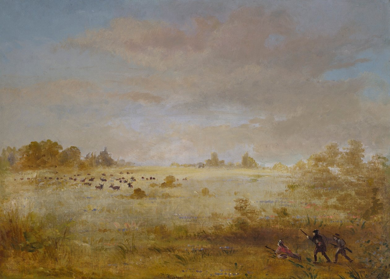 Elge græsser på en efterårsprærie af George Catlin