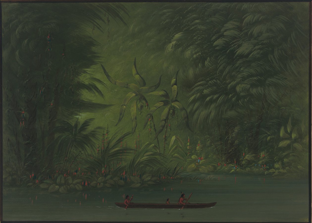 Indgang til en lagune, Amazonas kyst, 18541869. af George Catlin