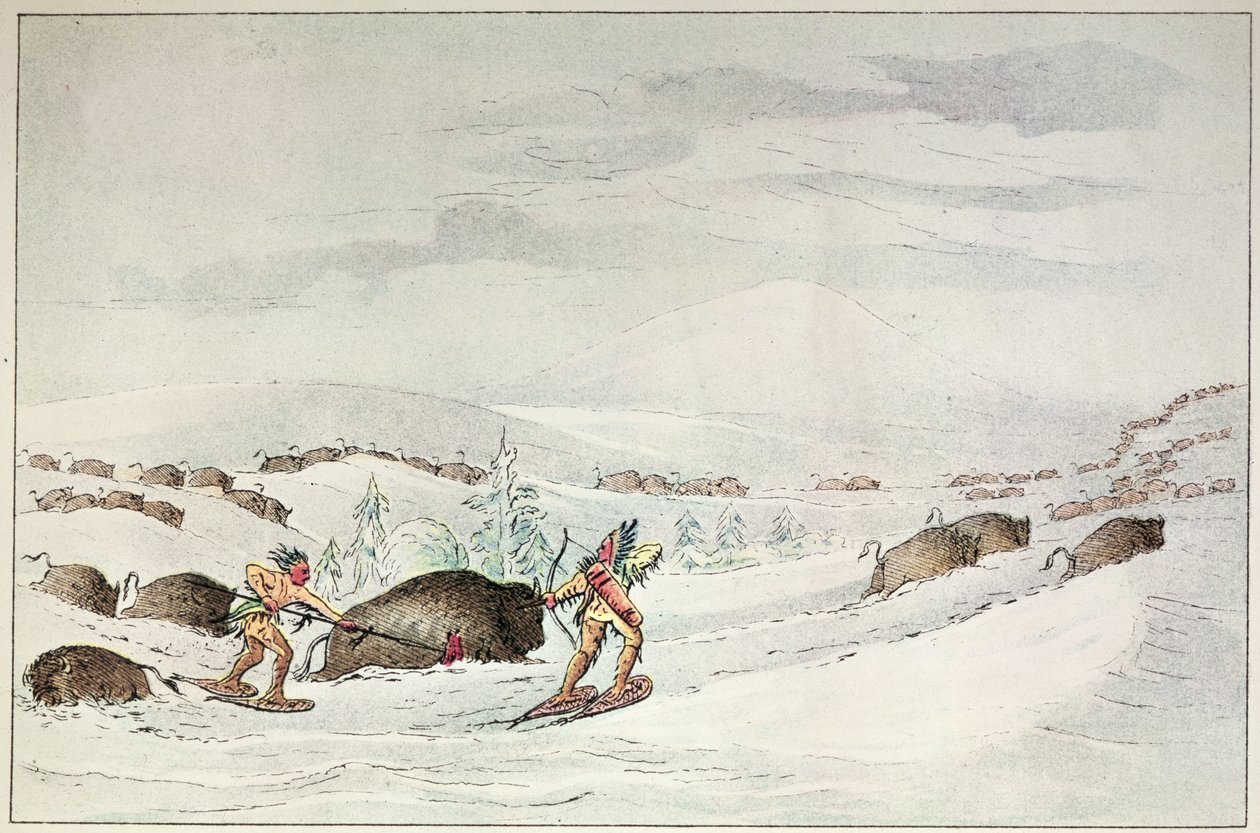 Jagt bøfler på snesko af George Catlin