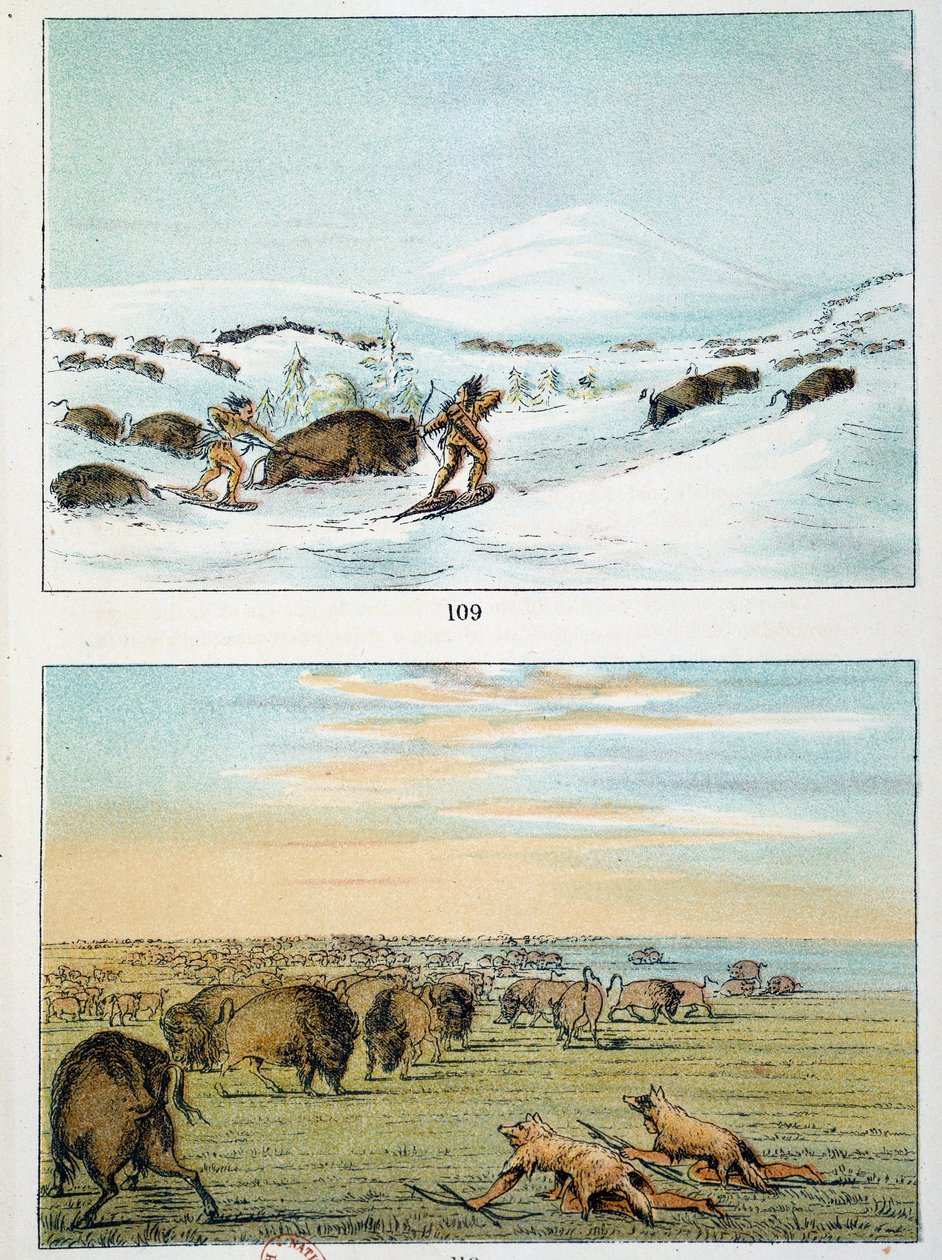 indianere i Amerika. Bisonjagt: Indianere bærer snesko for at jage om vinteren og dækker sig selv med ulveskind om sommeren. Illustration af George Catlin (1794-1872) af George Catlin
